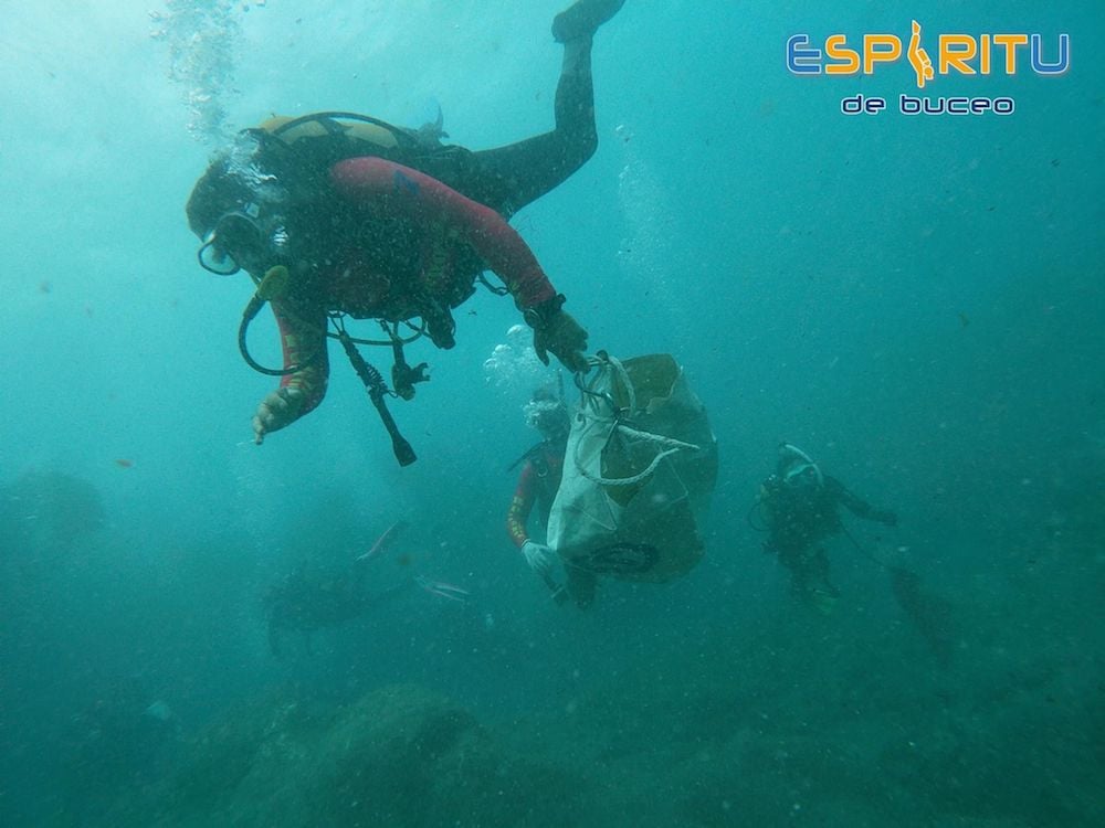 Beach cleanup with Abama Green Team and Terramare