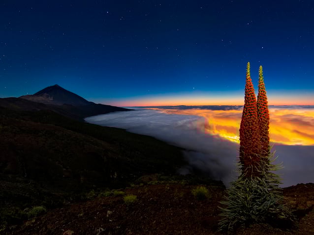 Daniel Lopez El Cielo de Canarias Abama Resort luxury properties in Tenerife