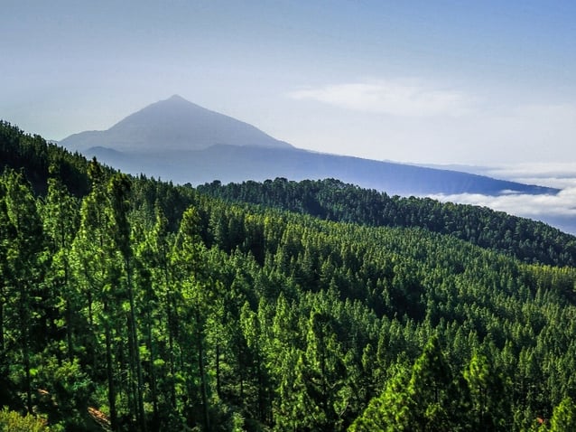 Tenerife-Iceland: two connected volcanic islands