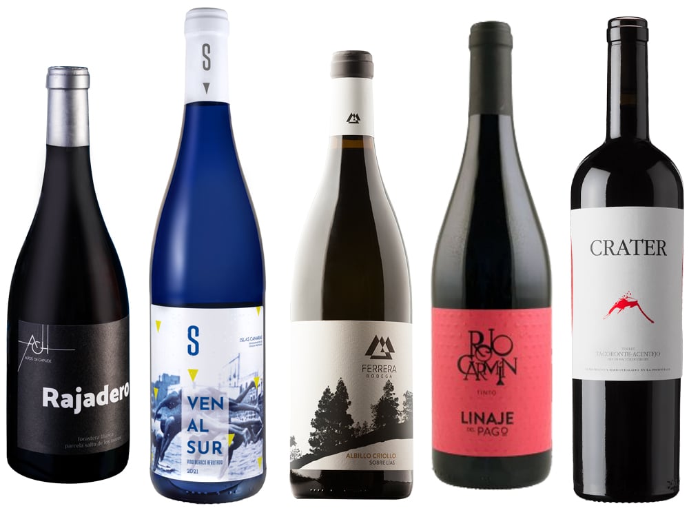 Wine-recommendations-from-El-Gusto-por-El-Vino