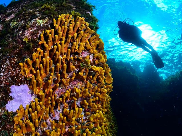 Discover Tenerife, one of the best warm winter destinations, photo Sacha Lobenstein