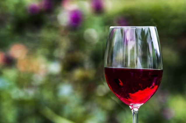 Los vinos te Tenerife aguardan una rareza única: el vino criado bajo el mar
