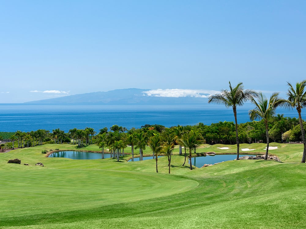 Abama Golf reopens with renovated greens