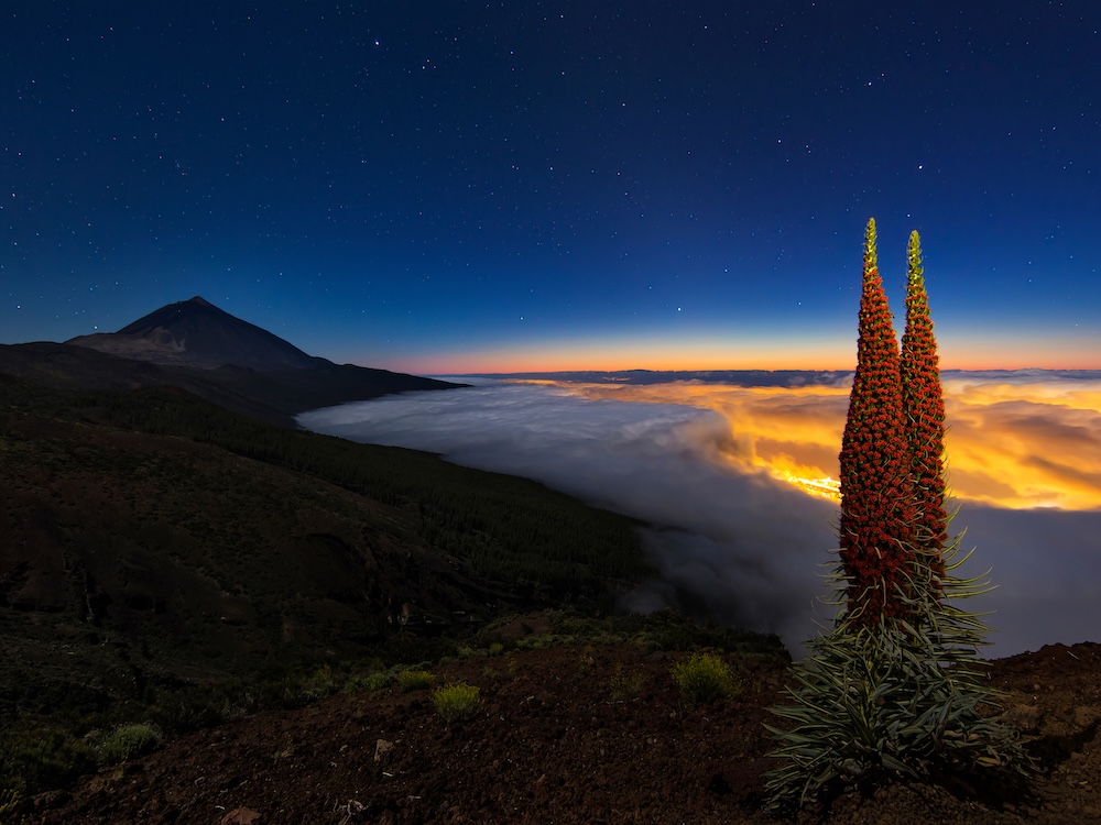 Daniel Lopez El Cielo de Canarias Abama Resort propiedades de lujo en Tenerife