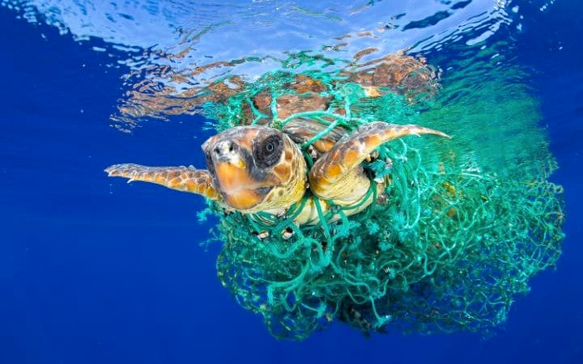 Los tradicionales paisajes de Tenerife pueden encerrar serios problemas ambientales 