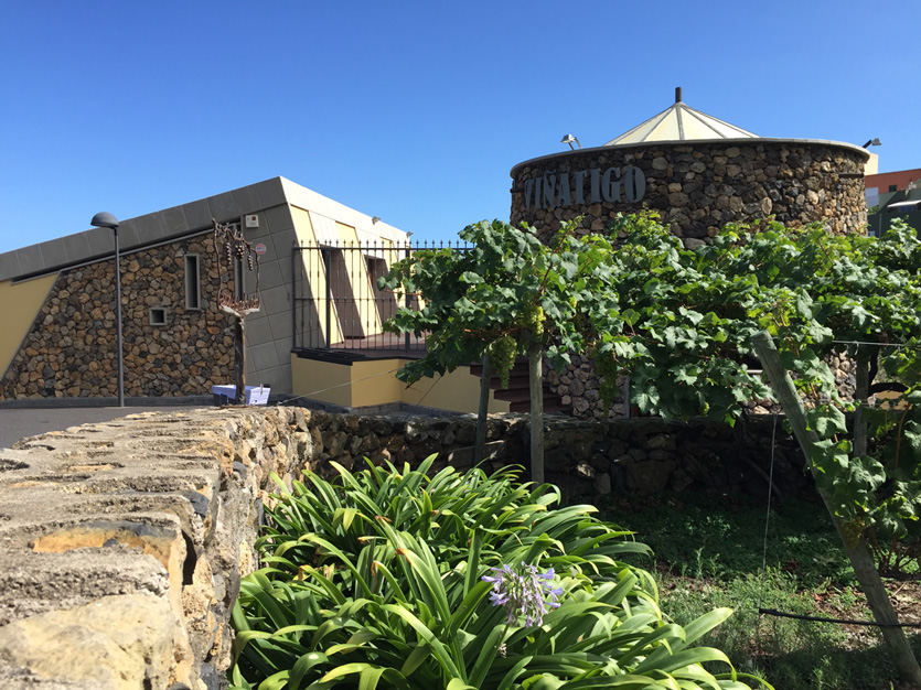 Vinatigo Bodega es una de las bodegas canarias más pintorescas