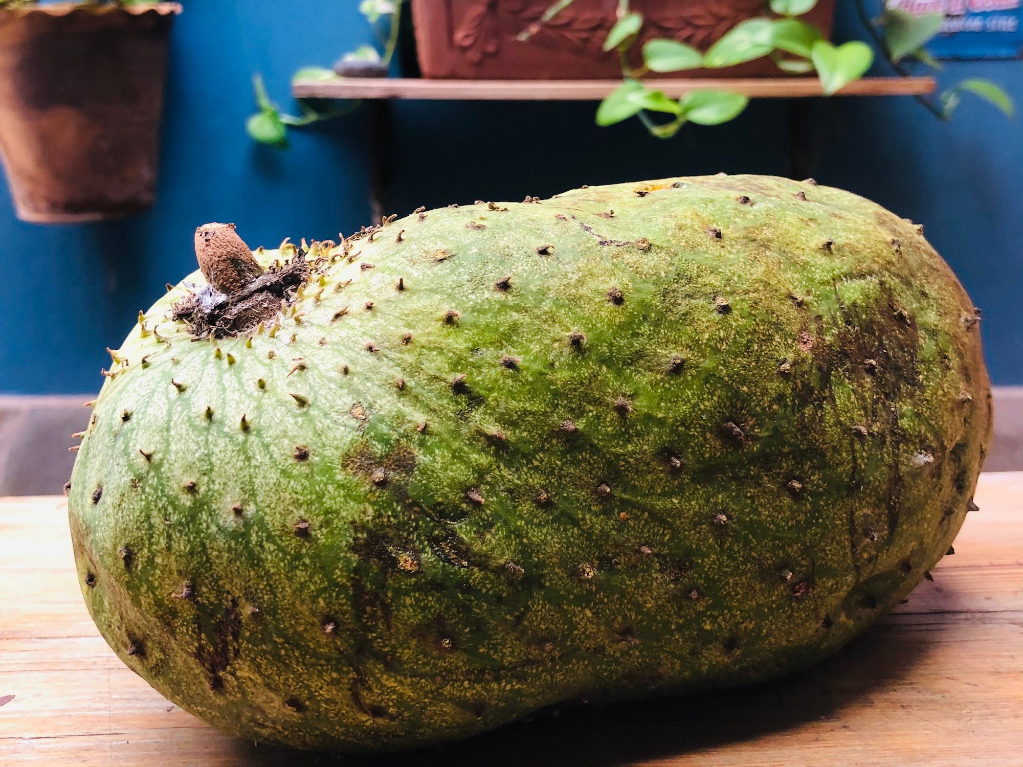 Tropical Fruit Learn About And Try Guanabana